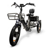 Image of Go Bike FORZA Compact Foldable Electric Trike Front View