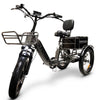 Image of Go Bike FORZA Compact Foldable Electric Trike Gray in Front Left View