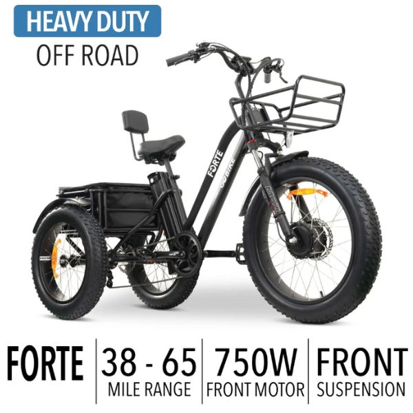 Go Bike FORTE Electric Tricycle – Electric Wheelchairs USA