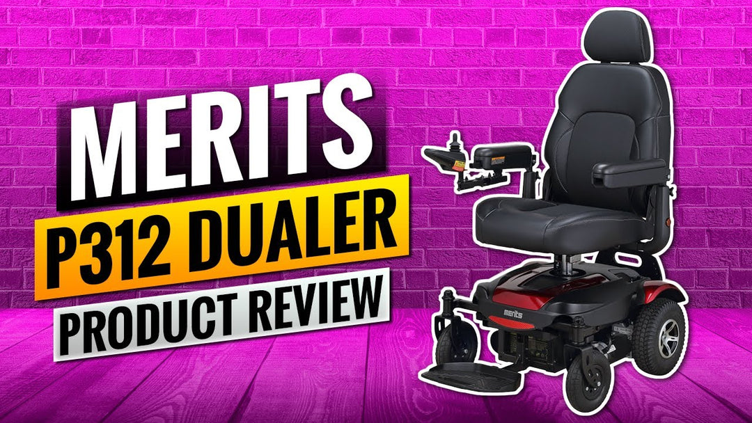 Merits P312 Dualer Review