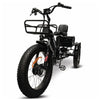 Image of Go Bike Forza Electric Tricycle Black Front View