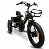 Image of Go Bike Forza Electric Tricycle Black Front View