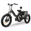 Image of Go Bike Forza Electric Tricycle Gray in Left Side View