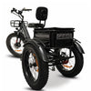 Image of Go Bike Forza Electric Tricycle Showing the Rear Storage