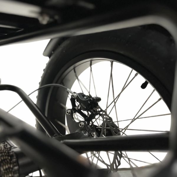 Go Bike Forza Electric Tricycle Tire