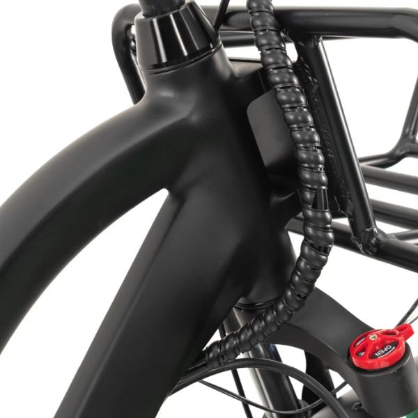 Go Bike Forte Electric Tricycle Zoomed In