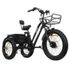 Image of Go Bike Forte Electric Tricycle Black in Angle Right View