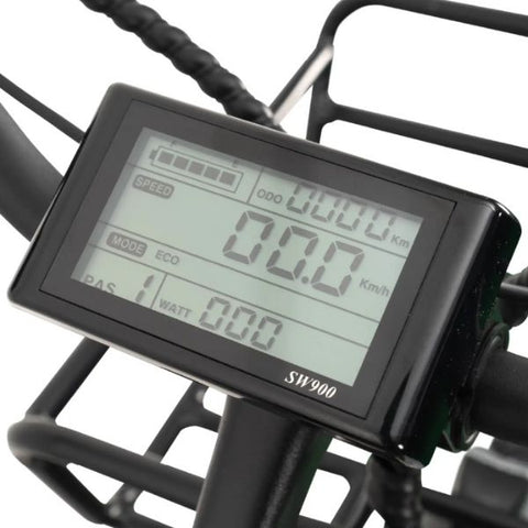 Go Bike Forte Electric Tricycle LCD Display