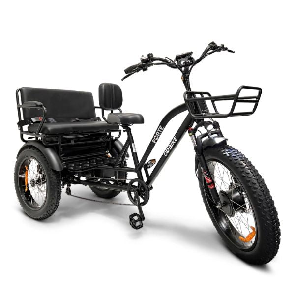 Go Bike FORTE Electric Tricycle with Rear Seat – Electric Wheelchairs USA