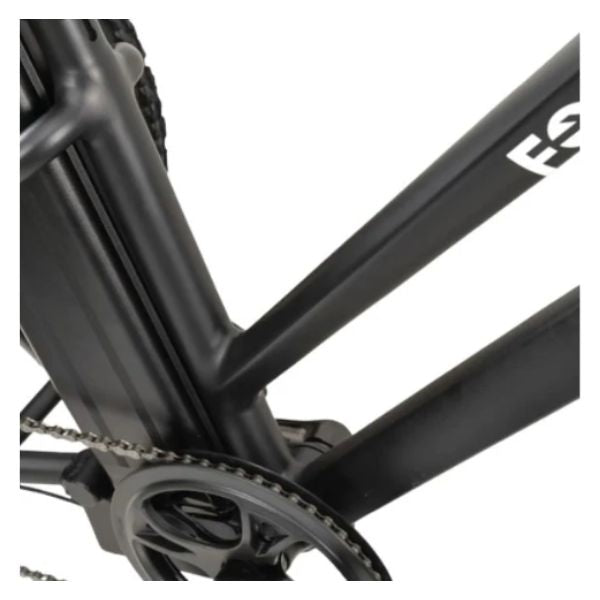 Go Bike Forte Electric Tricycle With Rear Seat Aluminum Alloy Frame