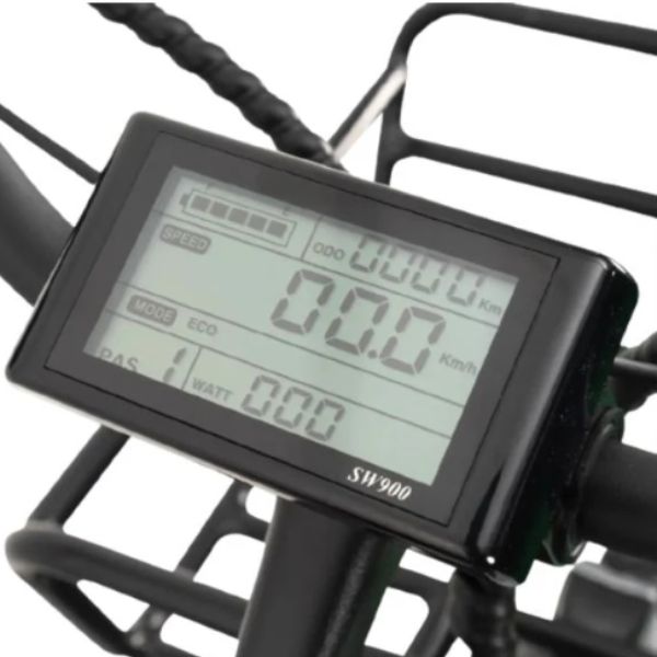 Go Bike Forte Electric Tricycle With Rear Seat Digital Display