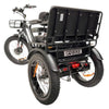Image of Go Bike Forte Electric Tricycle With Rear Seat Rear View