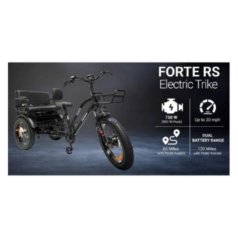 Go Bike Forte Electric Tricycle With Rear Seat Key Features
