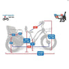 Image of Go Bike Forte Electric Tricycle With Rear Seat Dimensions and Load Capacity