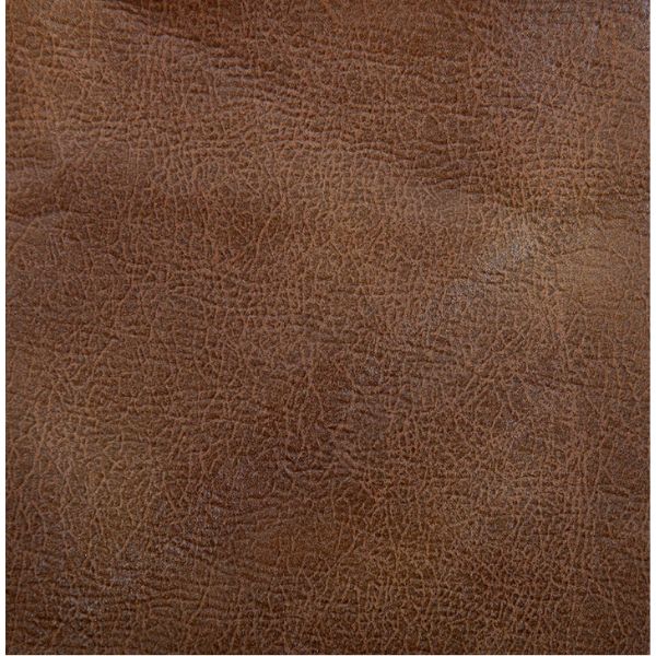 Golden Technologies DeLuna Dione Power Lift Chair PR46 Acorn Color