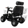 Image of Green Transporter Cheeta Ninja All-Terrain Mobility Scooter with Dual Seat  Upright Sideback View