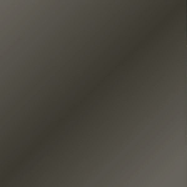 Galactic Gray Color