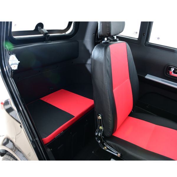 Green Transporter Q Express Electric Mobility Scooter Black-Red Color  Seats
