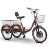 Image of E-Wheels EW-29 Electric Trike Right View