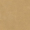 Image of Golden Technologies Comforter 3 Position Lift Chair PR501