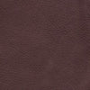 Image of Golden Technologies Comforter 3 Position Lift Chair PR501